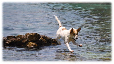 Teresa e i tuffi in mare