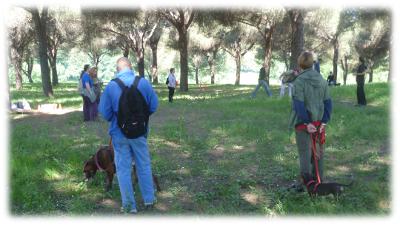 la conduzione al guinzaglio è un gioco!