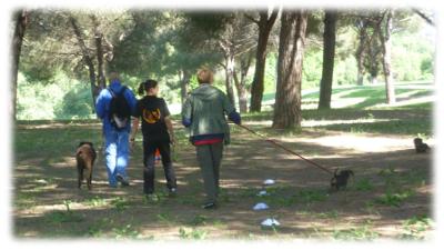 rocco, anita e pilu' al parco