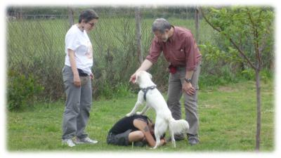 valentina e Joy fanno Human body Gym