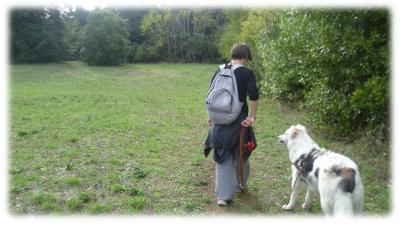 pippo in passeggiata nel parco con la proprietaria