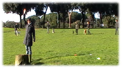 1, 2, 3 Palmira!