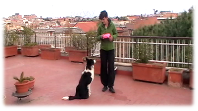 amie e la ciotola